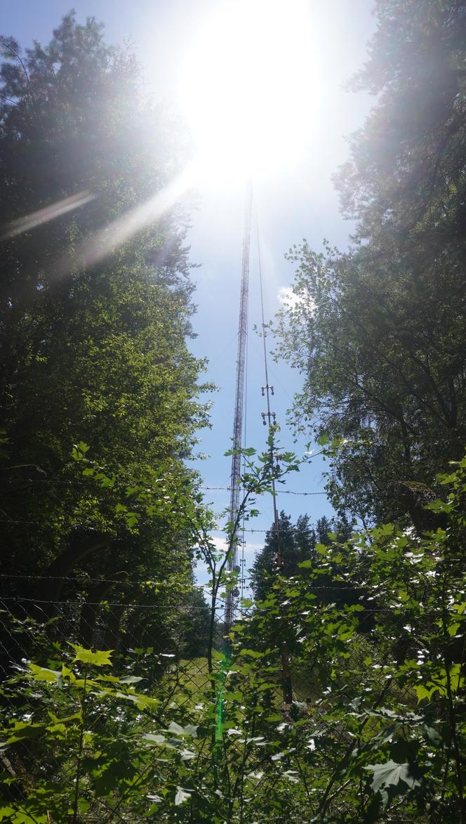 To drugi pod względem wielkości maszt w Polsce. Nie uwierzysz, ile ma metrów [ZDJĘCIA]