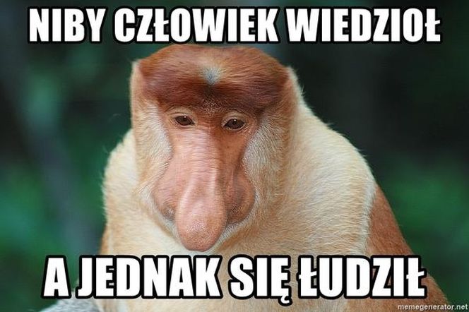 Wybory prezydenckie 2025. Sprawdźcie najlepsze memy 
