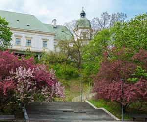 Miejsca na piknik w Warszawie