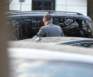 Ibisz powiększa rodzinę