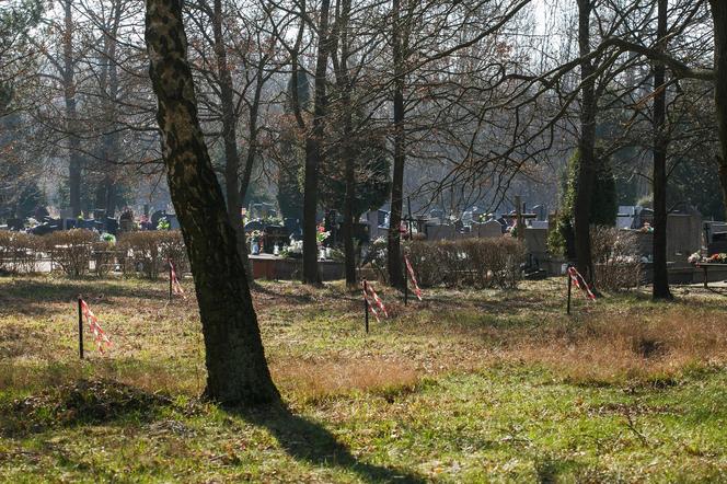 Las Pamięci na cmentarzu "Szczecińska" w Łodzi