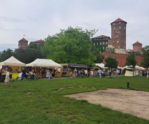 Smoczy Piknik Rodzinny 2025 w Krakowie
