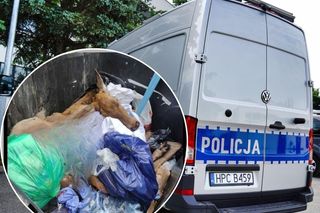 Szokujące odkrycie w śmietniku. Spółdzielnia mieszkaniowa prosi, żeby świadkowie zgłosili się na policję 