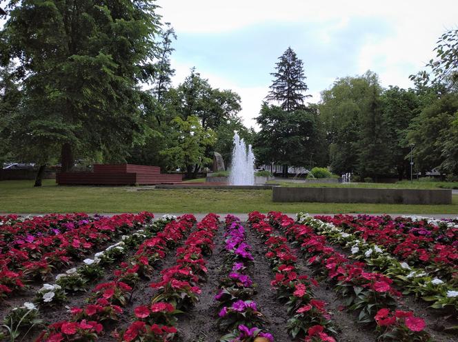 Park miejski w Tomaszowie Lubelskim