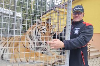 Mieszka z lwami odrzuconymi przez matkę i tygrysem. Usłyszał prokuratorskie zarzuty