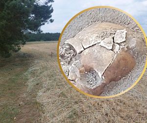 Kolejne wyjątkowe odkrycie w Pniu pod Bydgoszczą. Z polskimi naukowcami pracuje Indiana Jones z Liverpoolu, wcześniej badał Całun Turyński 