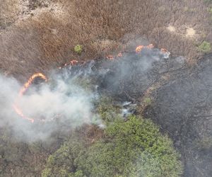 Wołomin: Płonie Natura 2000. Dym widać z wielu kilometrów