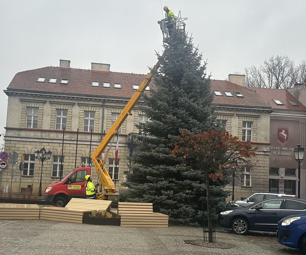 Konin ma już swoje świąteczne drzewko