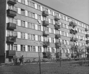 QUIZ PRL. Od dokwaterowań po wielką płytę. Ile wiesz o mieszkaniach w PRL?
