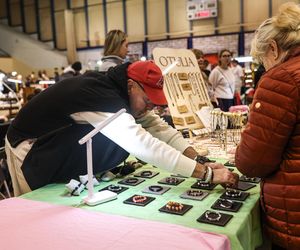 Targi terrarystyczne oraz giełda minerałów, biżuterii i skamieniałości w Sosnowcu