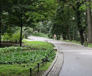 Ogród Saski w Lublinie w wakacyjny poranek 2025