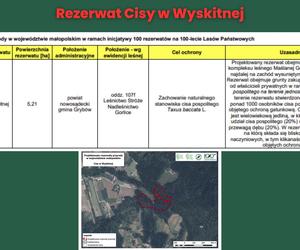 Rezerwat Cisy w Wyskitnej