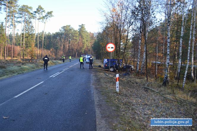 BMW rozbiło się na drzewie, nie żyje młoda kobieta