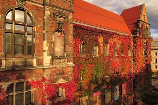 Te widoki zapierają dech w piersiach. Piękna jesień we Wrocławiu   