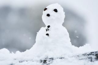 Pogoda na grudzień 2016. Czy będzie śnieg?