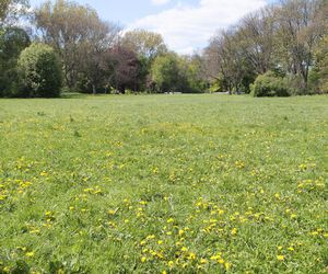 Park Skaryszewski w Warszawie