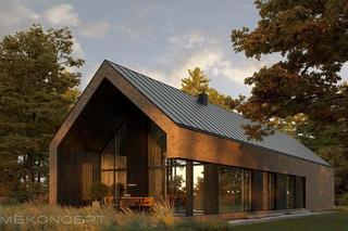 3 domy, w których chciałabym mieszkać - wizualizacje i rzuty