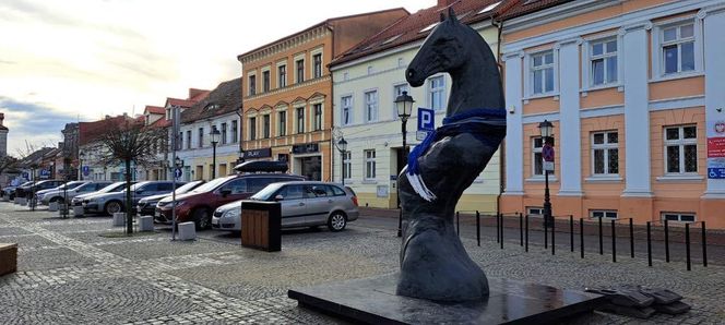 Tak prezentuje się pomnik Seksownego Konia z Konina