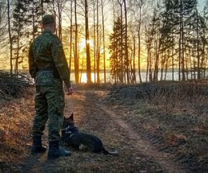 Nielegalna migracja z Białorusi spada. Wiceminister: ‘Wkrótce zniknie całkiem’