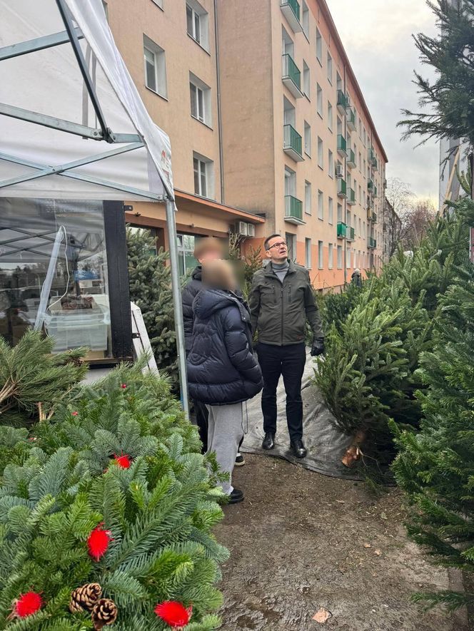 Mateusz Morawiecki kupił choinkę na święta