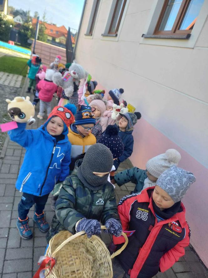 Akcja Miś - Nie Bij Mnie Kochaj Mnie w Elblągu