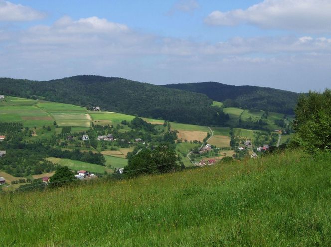 To jedna z najpiękniejszych małopolskich wsi. Kiedyś należała do zakonnic 