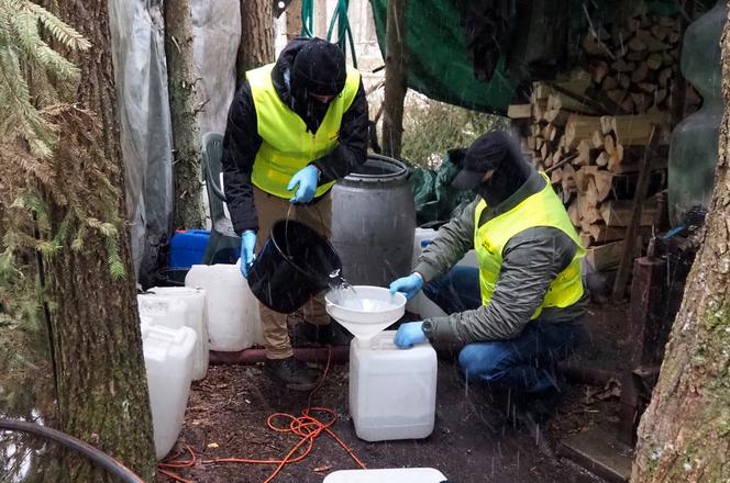 Gródek. Leśna bimbrownia zlikwidowana
