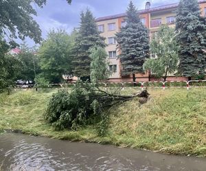 Burze sieją spustoszenie na Podkarpaciu