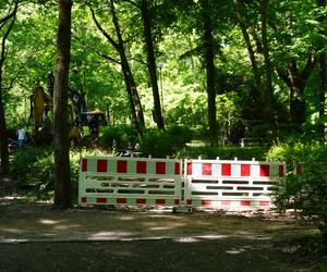 Rewitalizacja Parku Planty. Tak wyglądają majowe prace w centrum Białegostoku