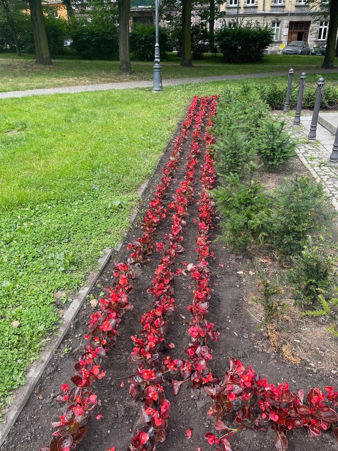 Kosztowne akty wandalizmu i dewastacji. Chorzowski urząd podsumował wydatki. Kwoty są ogromne