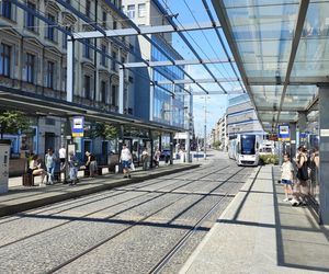 Katowice jak patelnia. Obowiązuje ruch cieniostronny. Nawet gołębie chowają się w cieniu