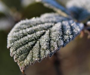 Pogoda na 12 i 13 maja. Zimne noce, przelotne opady i możliwe burze. IMGW wydało komunikat