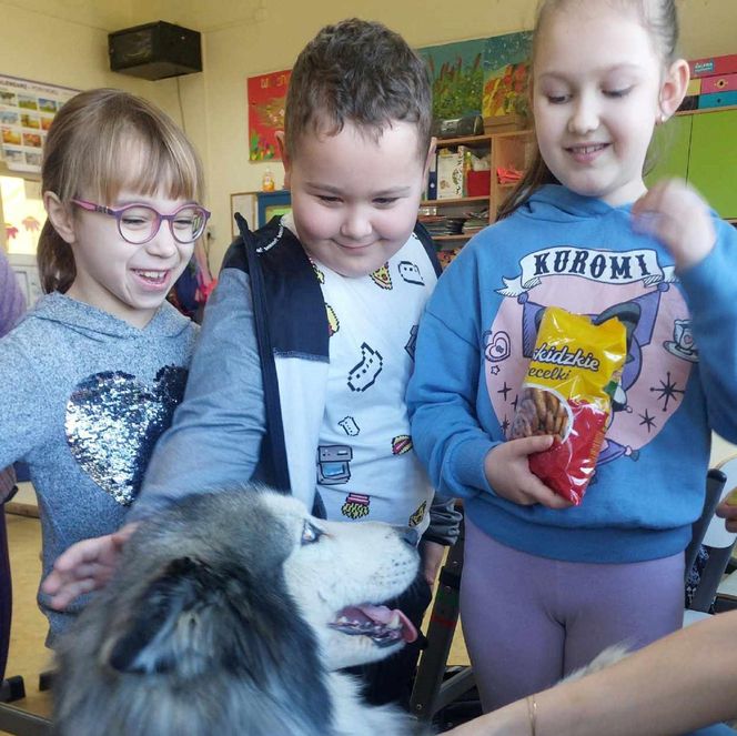 Dogoterapia i wolontariat. SP nr 10 w Starachowicach zdobywa tytuł Mistrzowskiej Placówki z Sercem