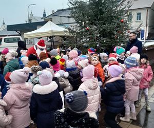 Na rynku w Mordach stanęła choinka