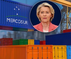 Mercosur wchodzi w życie. Urzędnicy przeliczyli to na hamburgery! 