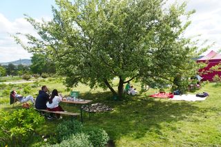 Ogród Botaniczny w Kielcach