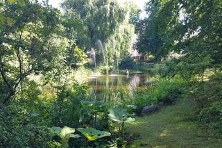 Są kolorowe, pachnące i... smaczne! Ogród Botaniczny zaprasza na jadalne kwiaty