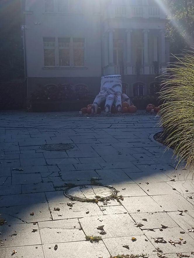 Willa na Jaśkowej Dolinie w Gdańsku znów straszy! Tegoroczny motyw Halloween budzi niepokój