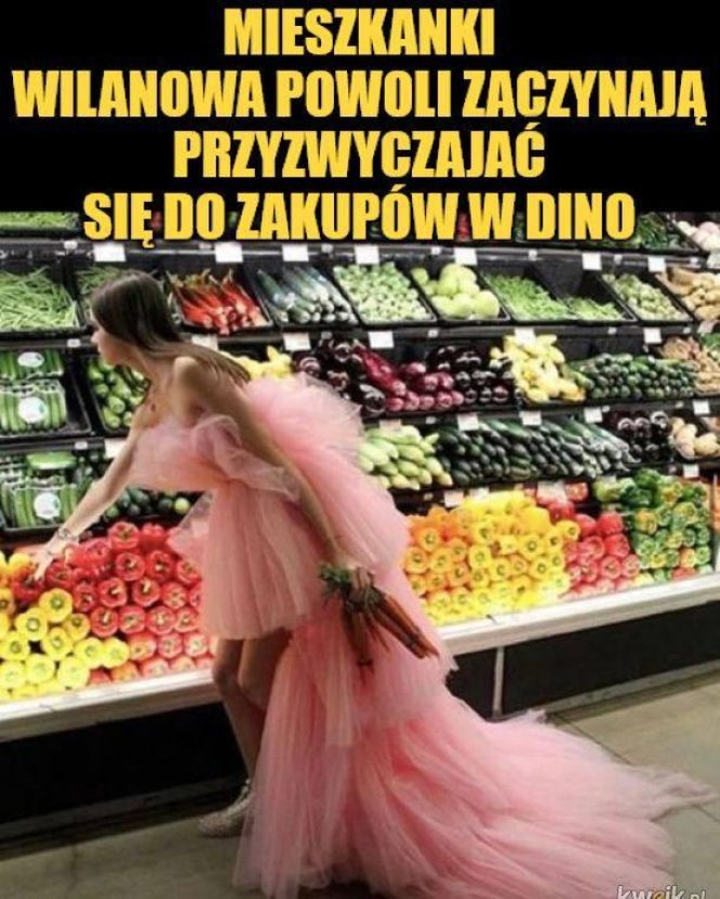 Memy o Dino obiegły social media