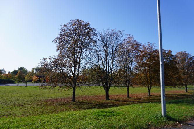 Park im. św. Jana Pawła II w jesiennych barwach