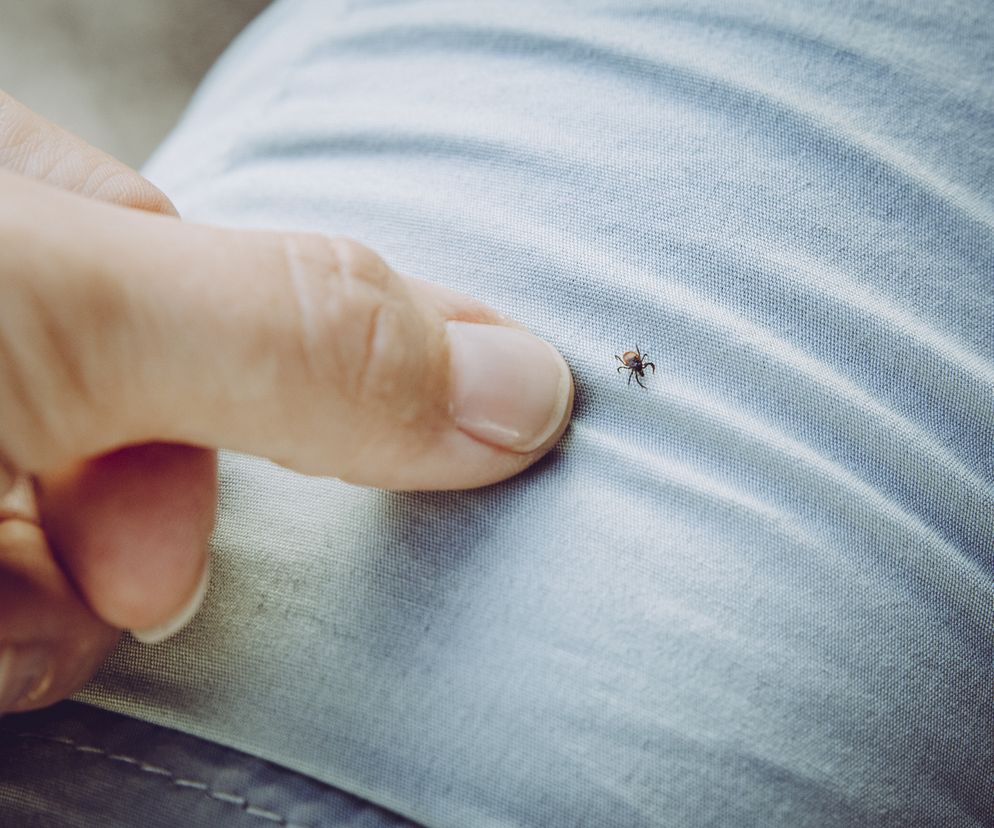 Wreszcie odkryto lek na boreliozę. Ma działać szybko i skutecznie
