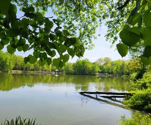 Kraków - Park Tetmajera