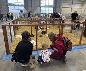 ZooPark w Lublinie. Dzień drugi