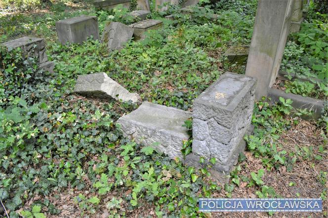 Na wrocławskim cmentarzu zdewastowano kilkadziesiąt nagrobków 