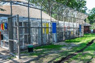 Tak wygląda nowa lwiarnia w Zoo Wrocław. Już niedługo zamieszkają tam aż trzy nowe lwy [ZDJĘCIA]