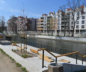 Rewitalizacja Dolnego Miasta i Starego Przedmieścia