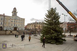 Gorlice: Na rynku już stoi choinka. Jest piękna. MUSISZ ją zobaczyć