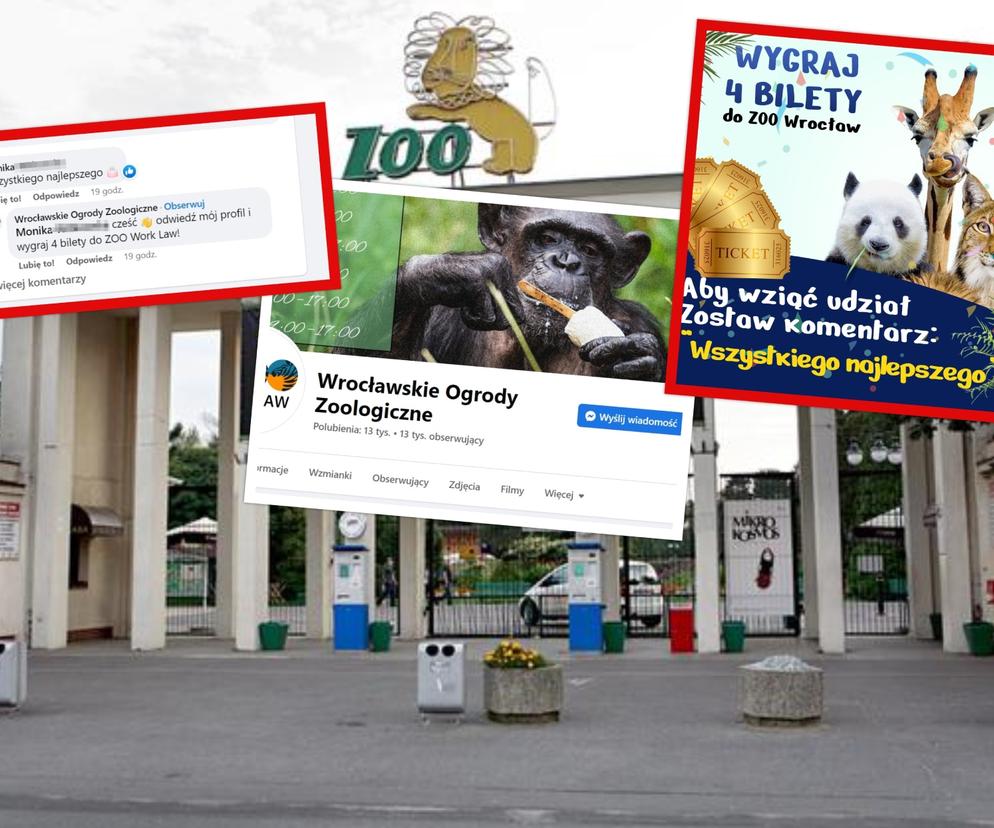 Ktoś podszywa się pod wrocławskie Zoo. Fejkowe konto organizuje konkursy
