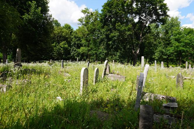 Zabytkowy cmentarz żydowski z XIX wieku w Białymstoku. Ostatnia taka ocalała nekropolia w mieście