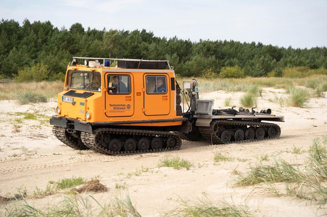 Balex Delta 2025